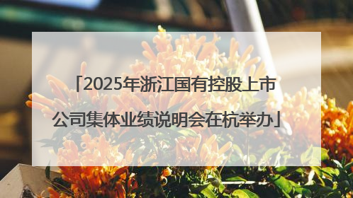 2025年浙江国有控股上市公司集体业绩说明会在杭举办