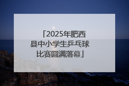 2025年肥西县中小学生乒乓球比赛圆满落幕