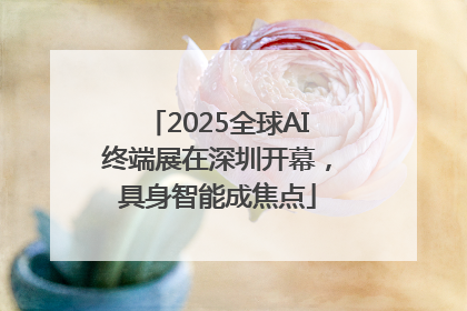 2025全球AI终端展在深圳开幕，具身智能成焦点