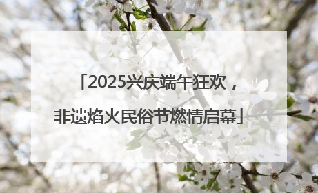 2025兴庆端午狂欢，非遗焰火民俗节燃情启幕