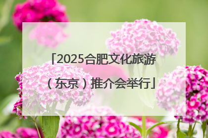 2025合肥文化旅游（东京）推介会举行