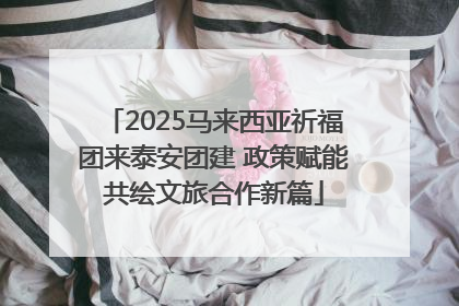 2025马来西亚祈福团来泰安团建 政策赋能共绘文旅合作新篇