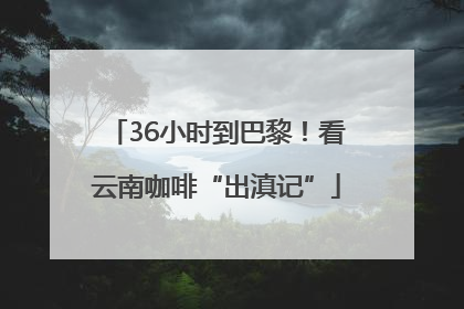 36小时到巴黎！看云南咖啡“出滇记”
