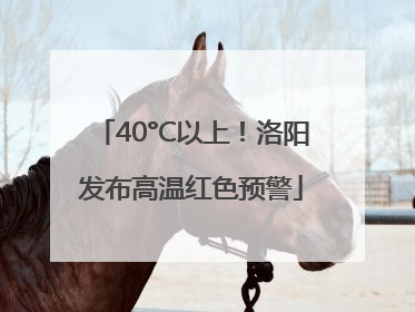 40°C以上！洛阳发布高温红色预警