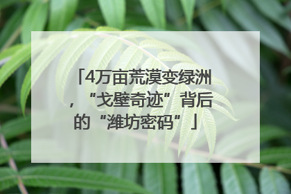 4万亩荒漠变绿洲，“戈壁奇迹”背后的“潍坊密码”
