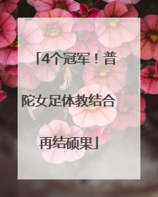 4个冠军！普陀女足体教结合再结硕果