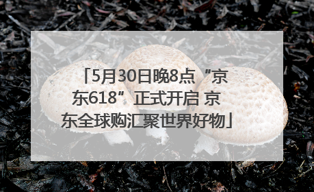 5月30日晚8点“京东618”正式开启 京东全球购汇聚世界好物