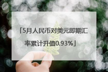 5月人民币对美元即期汇率累计升值0.93%