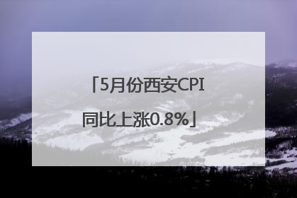 5月份西安CPI同比上涨0.8%