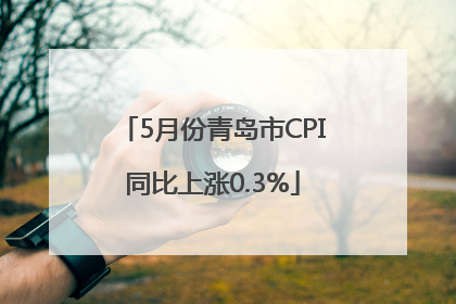 5月份青岛市CPI同比上涨0.3%