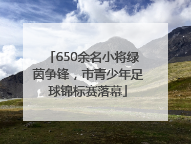 650余名小将绿茵争锋，市青少年足球锦标赛落幕