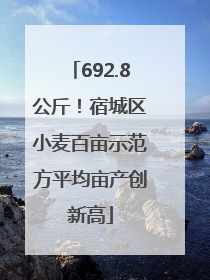 692.8公斤！宿城区小麦百亩示范方平均亩产创新高