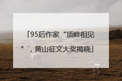 95后作家“顶峰相见”，黄山征文大奖揭晓