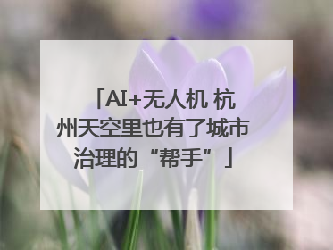 AI+无人机 杭州天空里也有了城市治理的“帮手”