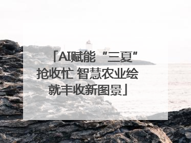 AI赋能“三夏”抢收忙 智慧农业绘就丰收新图景