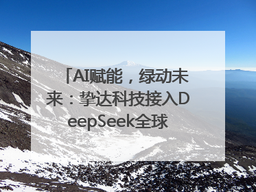 AI赋能，绿动未来：挚达科技接入DeepSeek全球化布局的新篇章