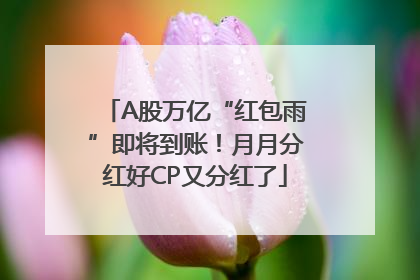 A股万亿“红包雨”即将到账！月月分红好CP又分红了