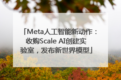 Meta人工智能新动作：收购Scale AI创建实验室，发布新世界模型